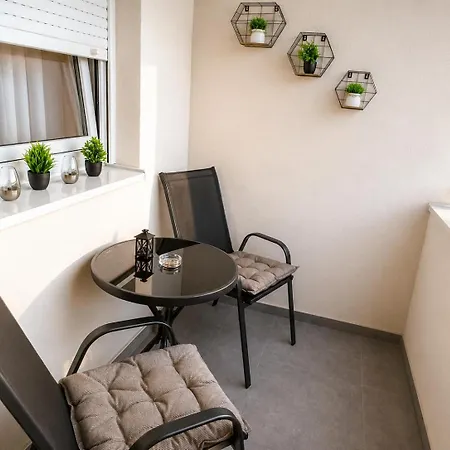 Tulipan Lux Daire Doboj